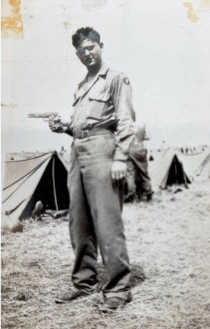 n-lrg-Vet3-040121.jpeg